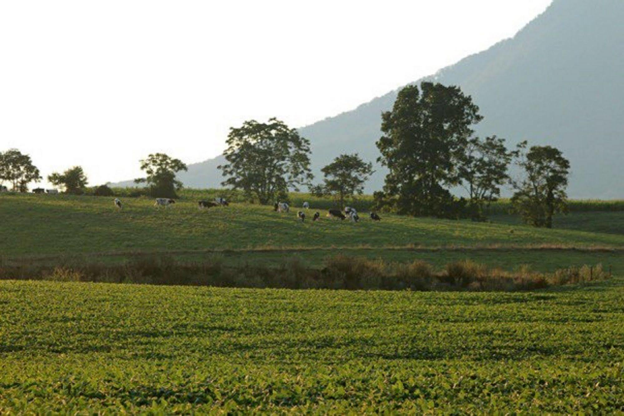 Cave Hill Farm Bed & Breakfast McGaheysville Ngoại thất bức ảnh